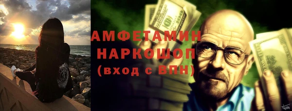 стаф Алзамай