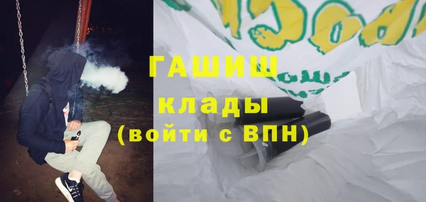 стаф Алзамай