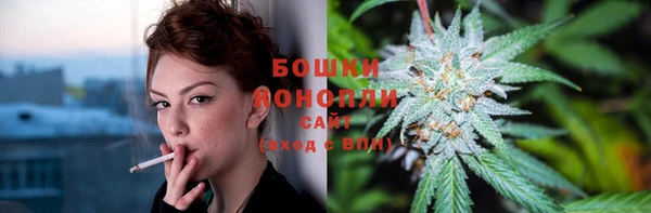 дурь Алексеевка