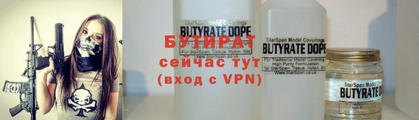 стаф Алзамай