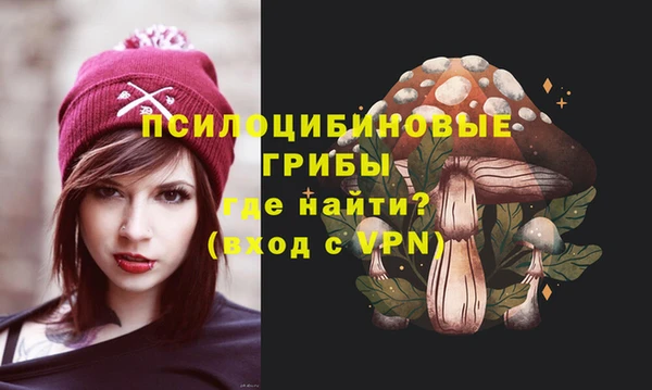 Альфа ПВП Арсеньев
