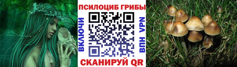 OMG сайт  Волгореченск  Галлюциногенные грибы MAGIC MUSHROOMS 