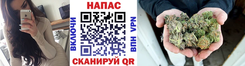 Бошки Шишки ГИДРОПОН Волгореченск